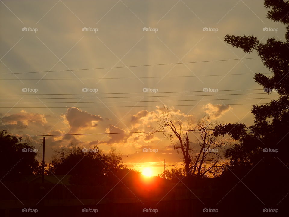 good morning America. This is a picture of the sun ☀ coming up with a touch of sunrays shining through the tops of these trees. 👣 🚶 🏃 🔥 💨