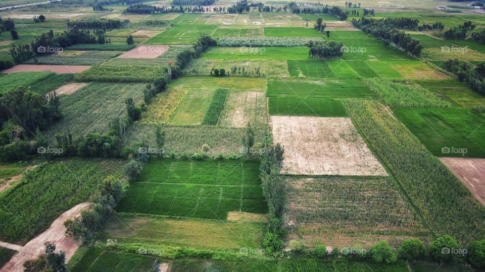 Aerial view of fields 
