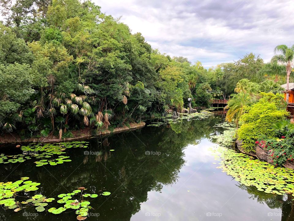 a river, lily pads and trees in a cloudy day