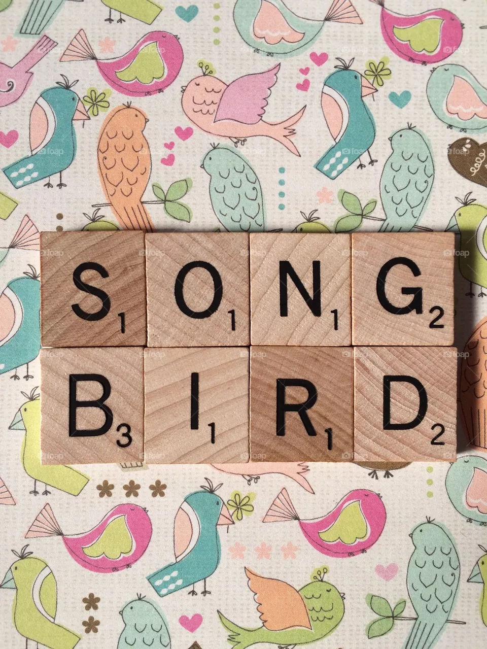 Song bird