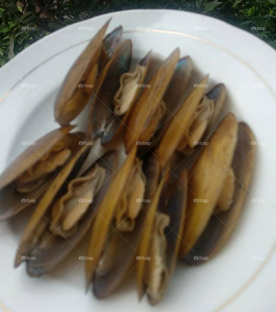 river clams