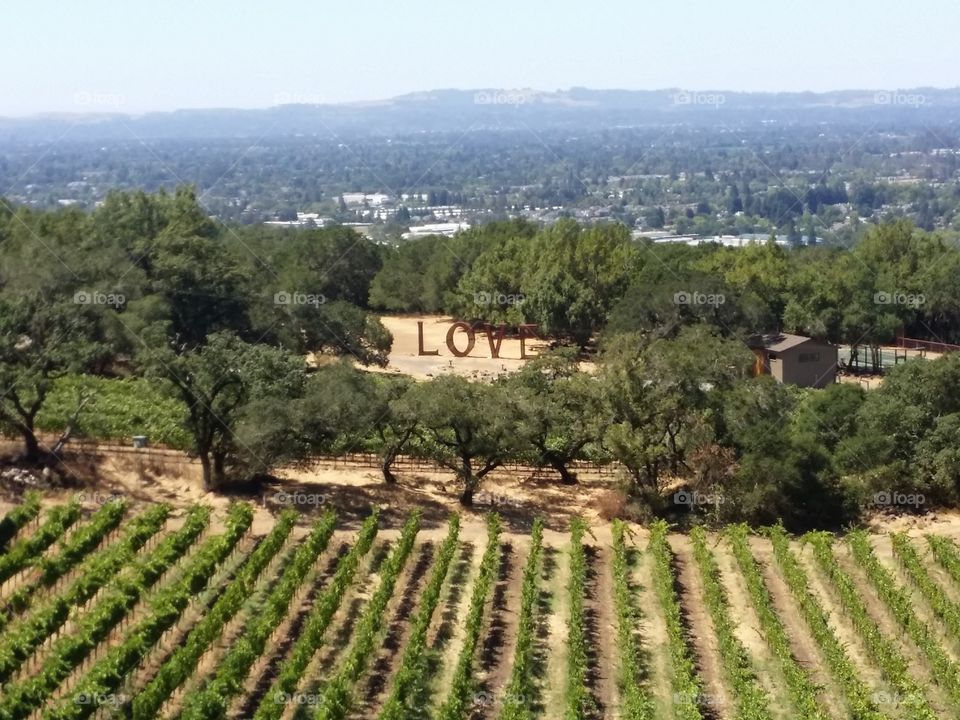 I came for the L💜VE of art and wine, and I will return for the love of great views, friendly wine lovers, and because it is the Amazing Wine Country you've heard about!  🌿🍇🍷