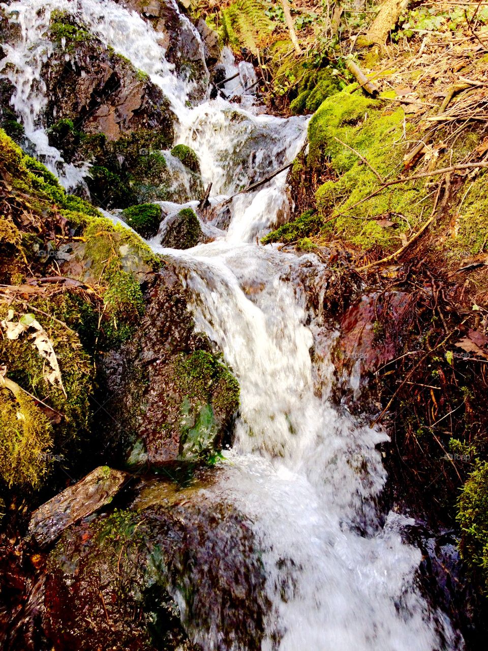 stream. small mountain stream after the thaw