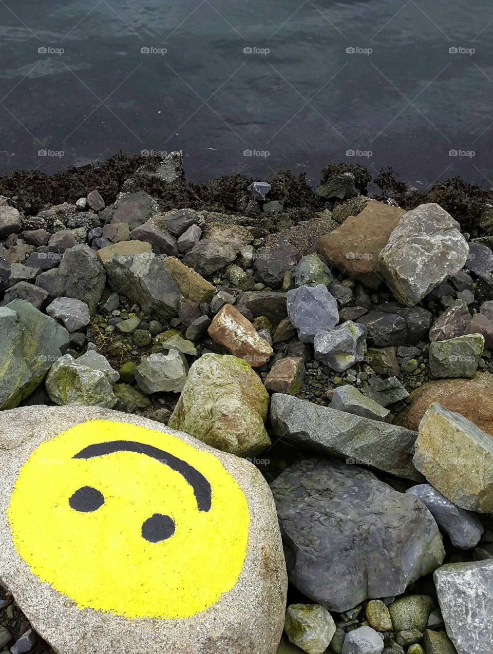 Something I see along the sea wall everyday as I take my walks. It's happy and reminds us to put a smile on our faces
