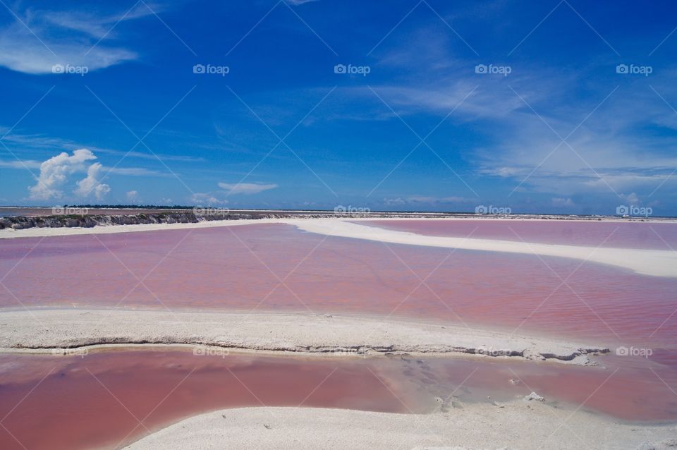 The pink beach