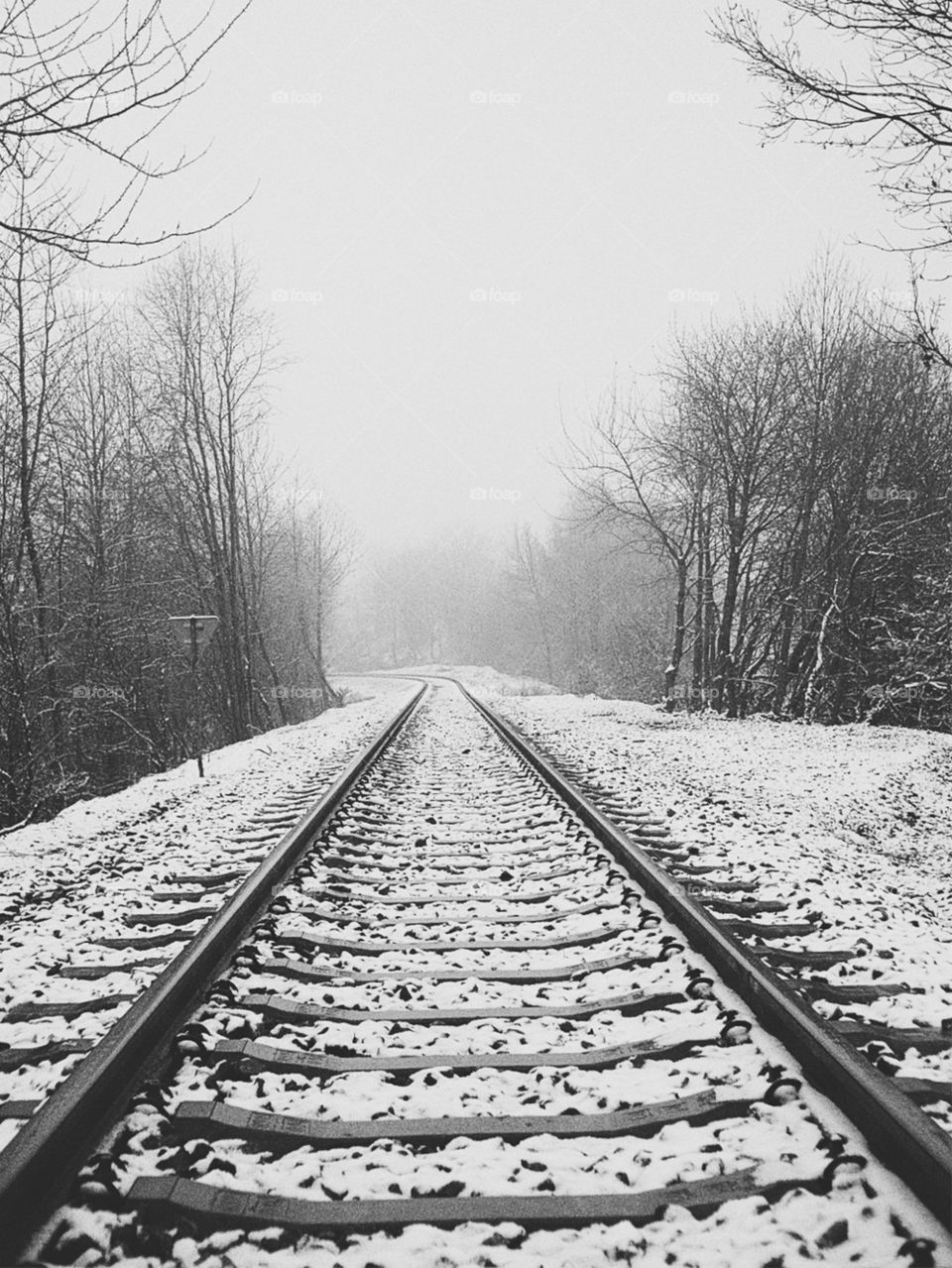 Frosty Tracks