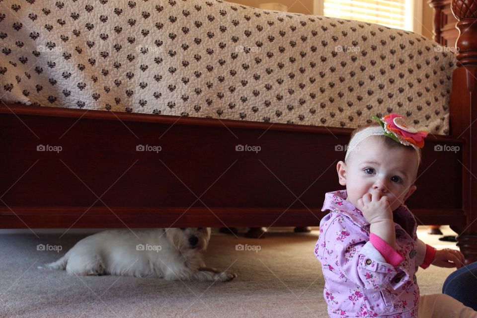 Baby and hiding dog