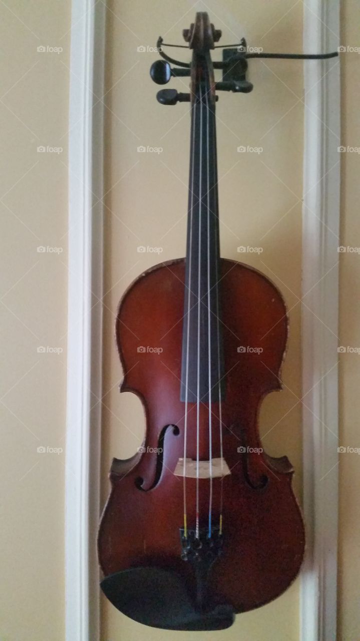 Violon on the wall