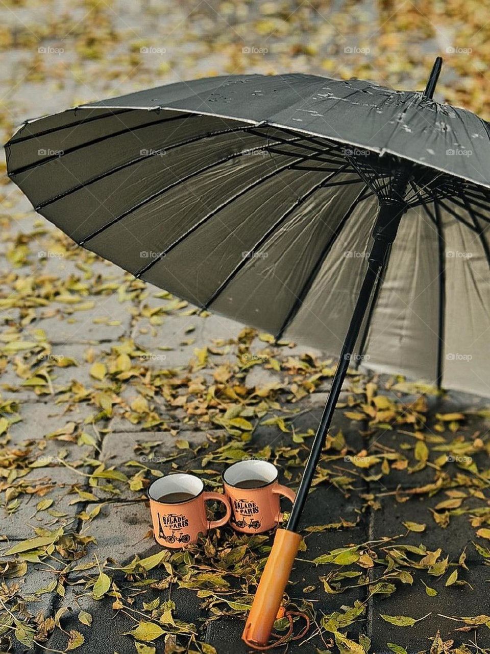 In the beautiful Fall rain, I take a deep breath! close my eyes and feel the peace of nature! the whisper of the wind whispers in my ears! hot coffee is more enjoyable in the Fall 's rain.