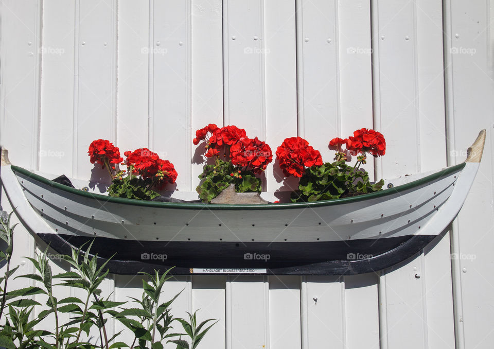 Flowers in boat on a wall. 