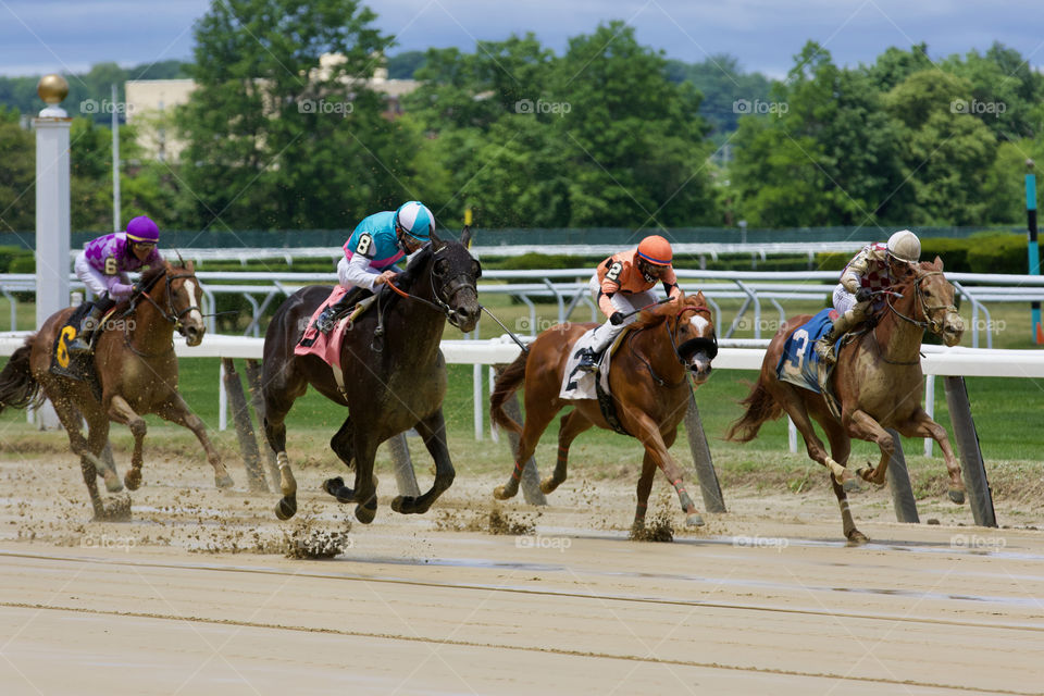 Racing from Belmont  Park on Memorial  Day