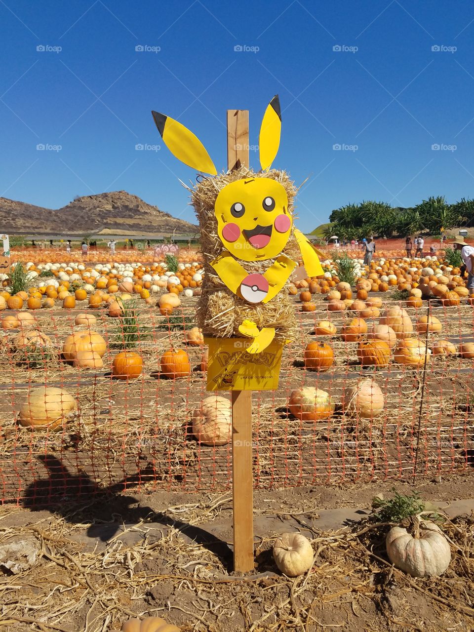 pikachu scarecrow