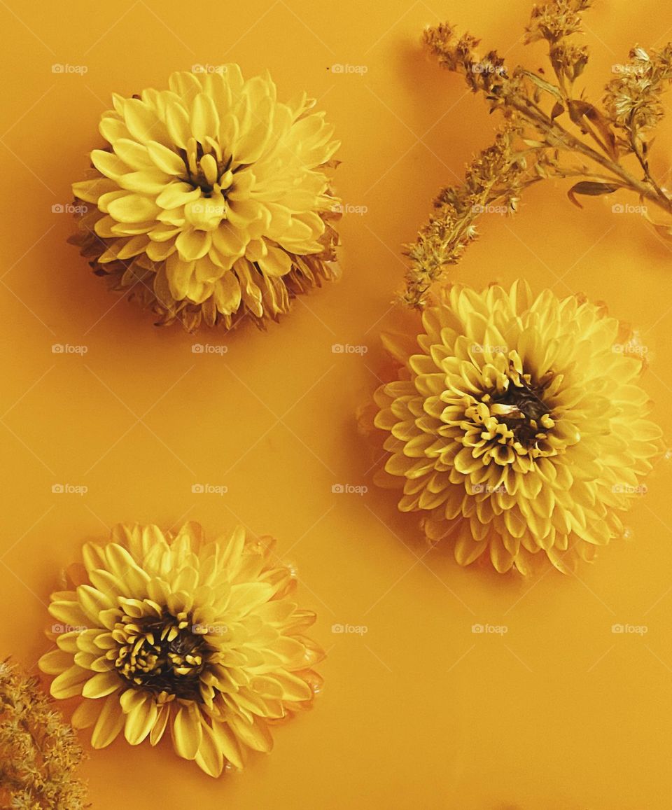 Everything is yellow 