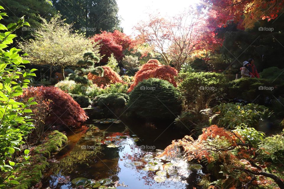 Autumn in the garden