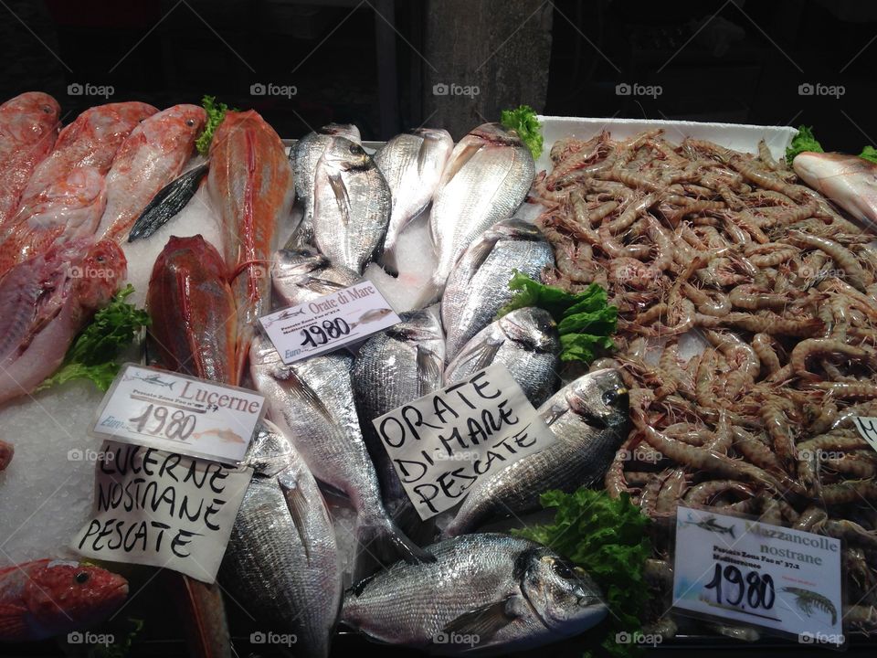 Fish market 