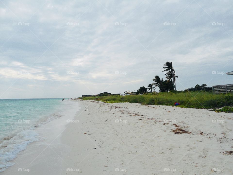 A beach with White sand and trees 