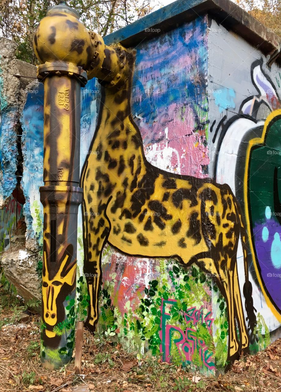 Graffiti Giraffe grazes
