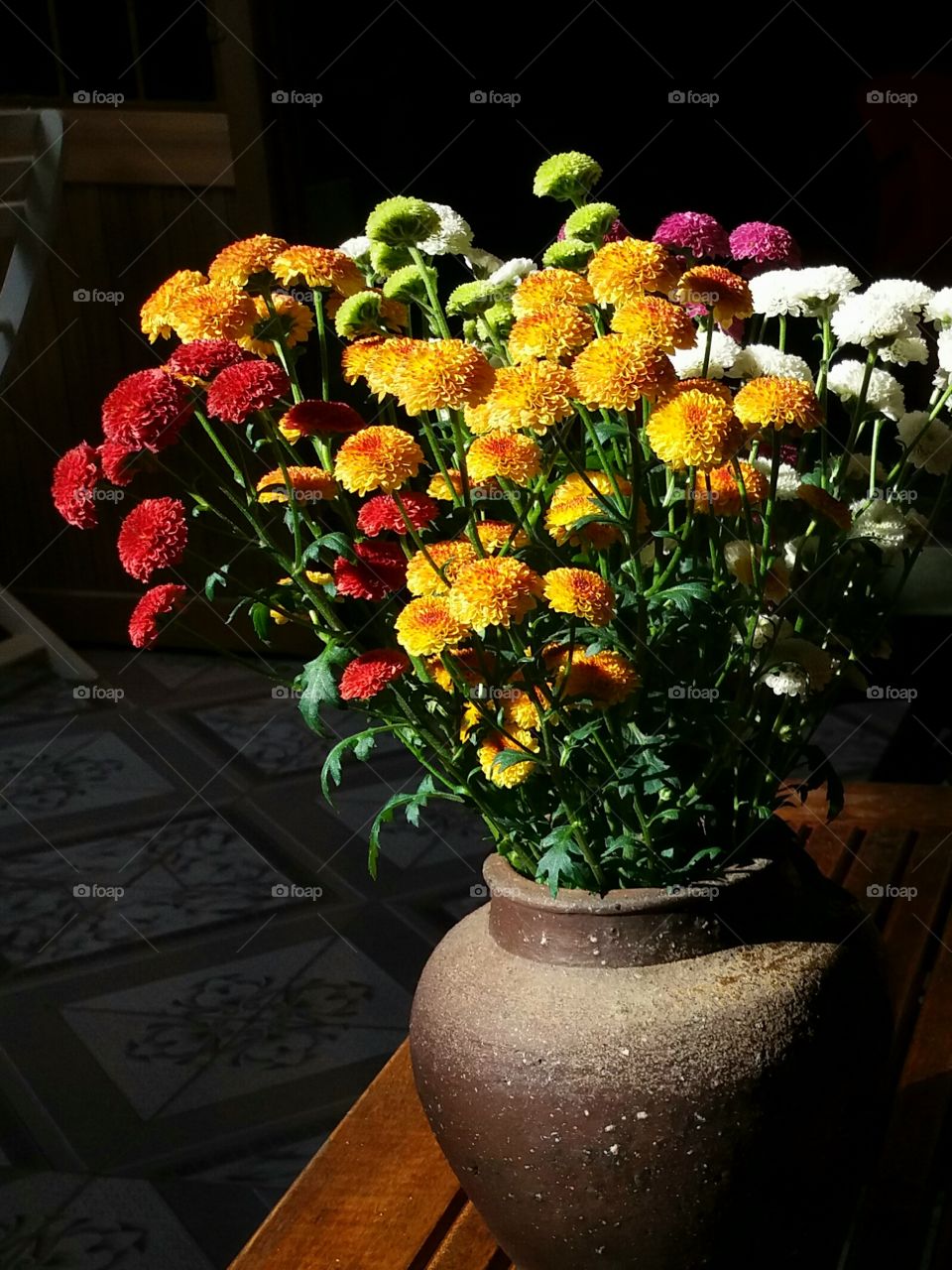 Flower, No Person, Pot, Vase, Flora