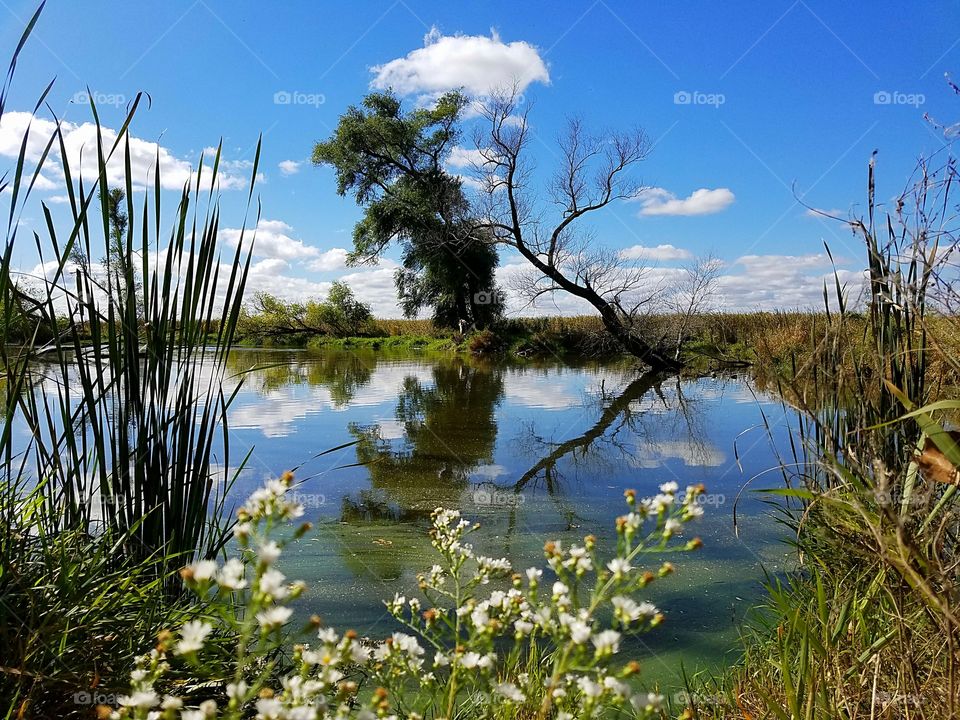 water reflection