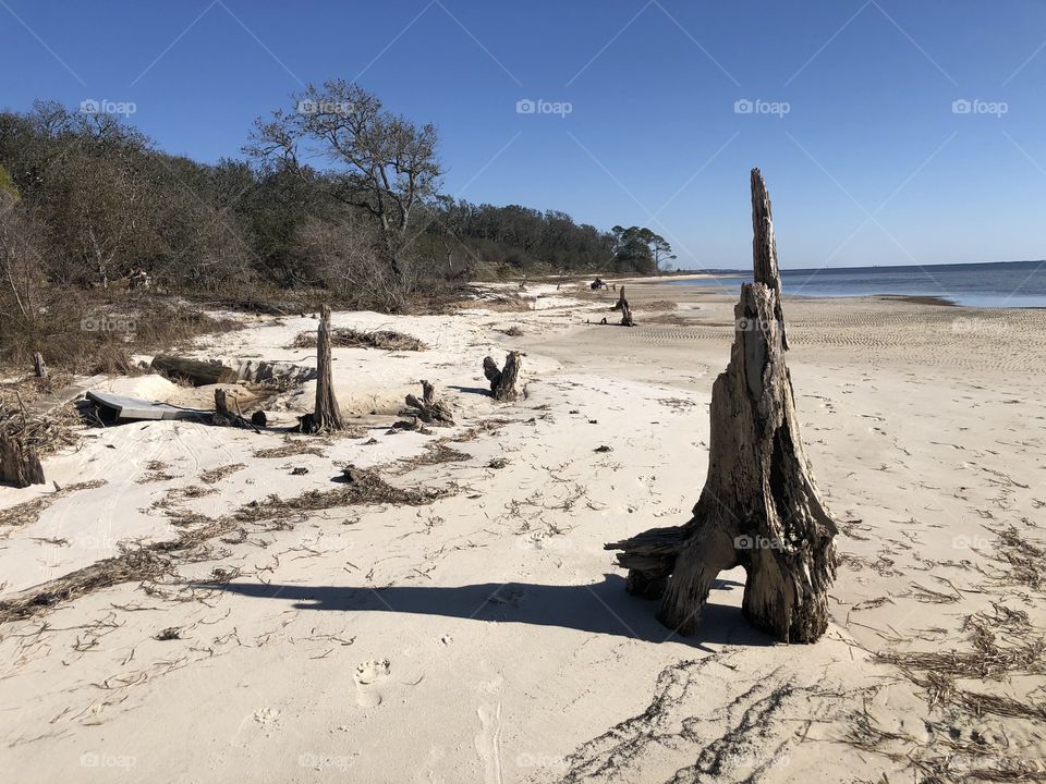 Driftwood at low tide on bay