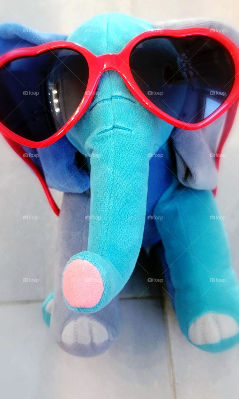 glasses elephant