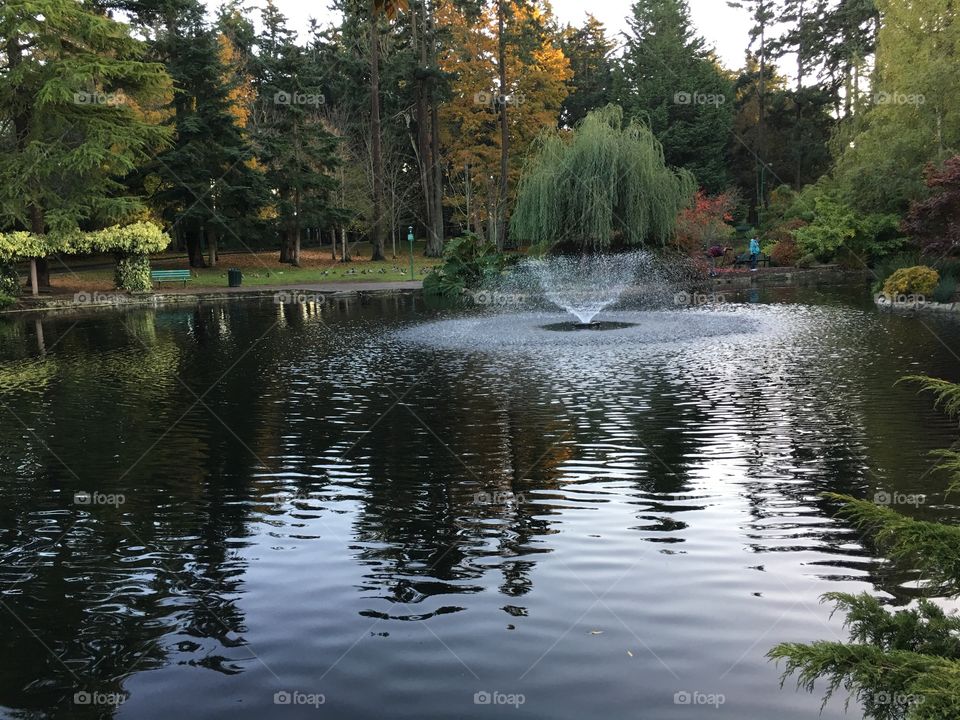 Fountain in the park