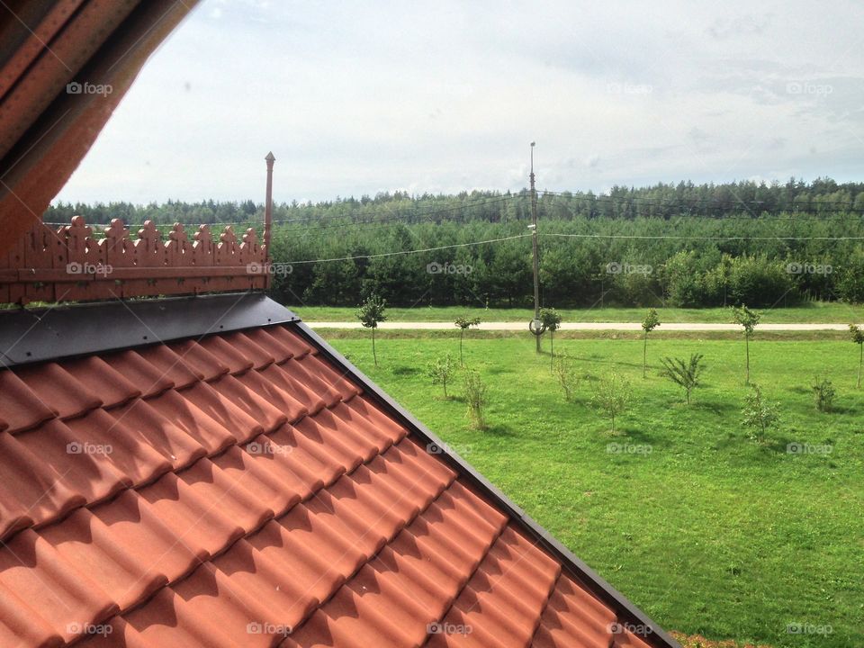 Nature roof