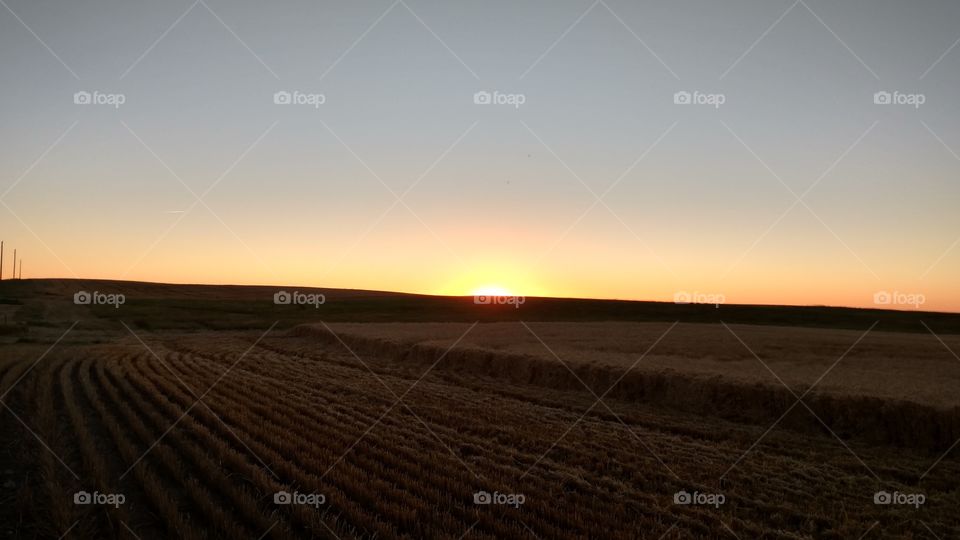 Sunset, Landscape, No Person, Agriculture, Cropland
