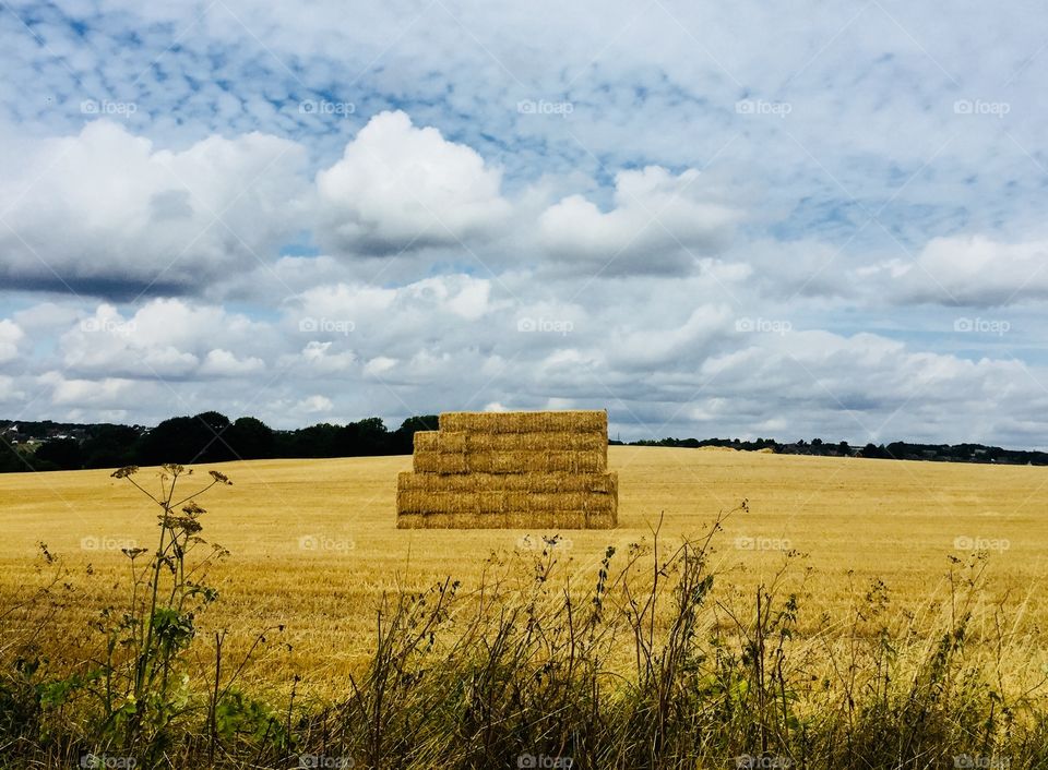 Ready for collection 