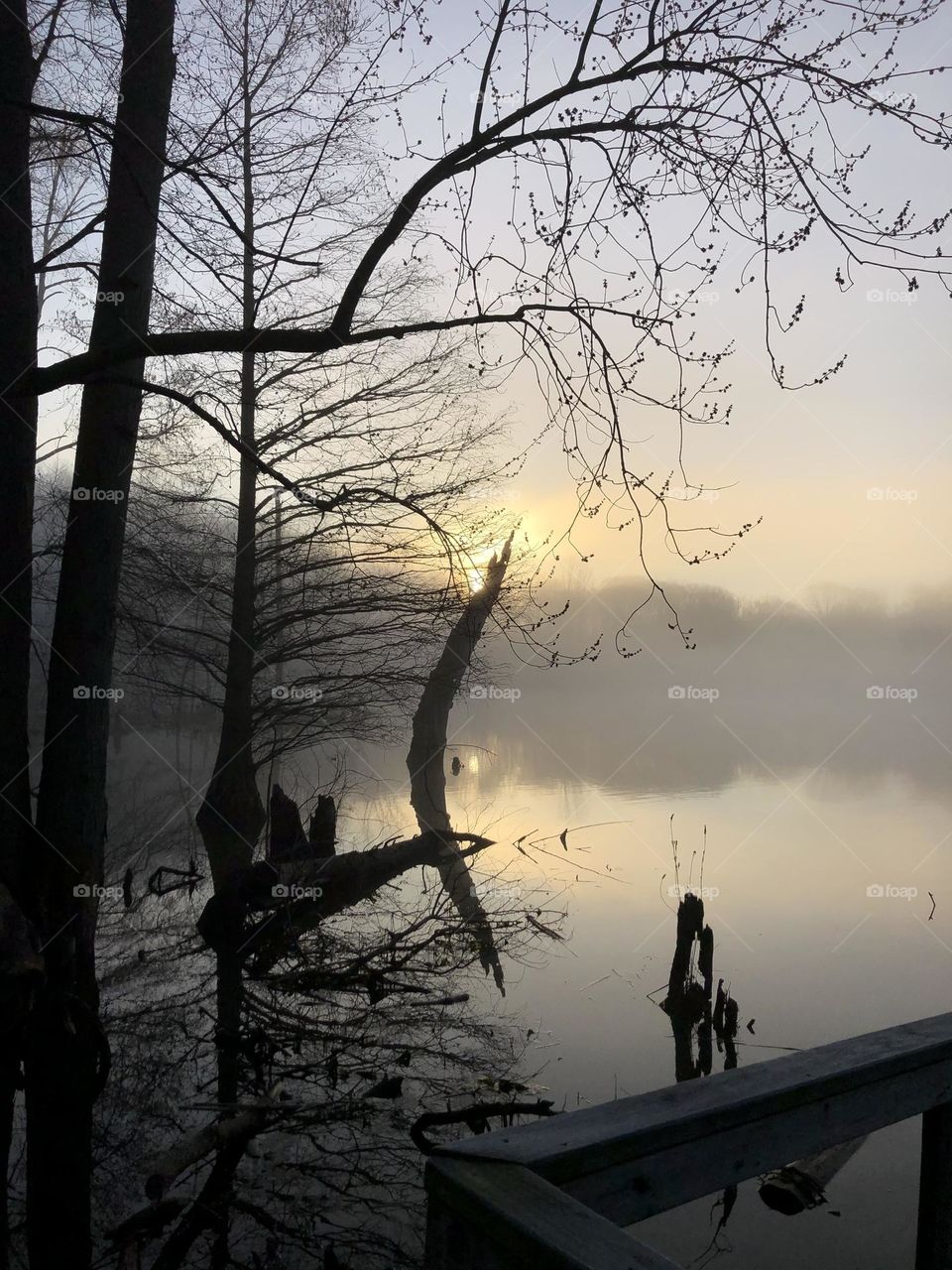 Early morning fishing