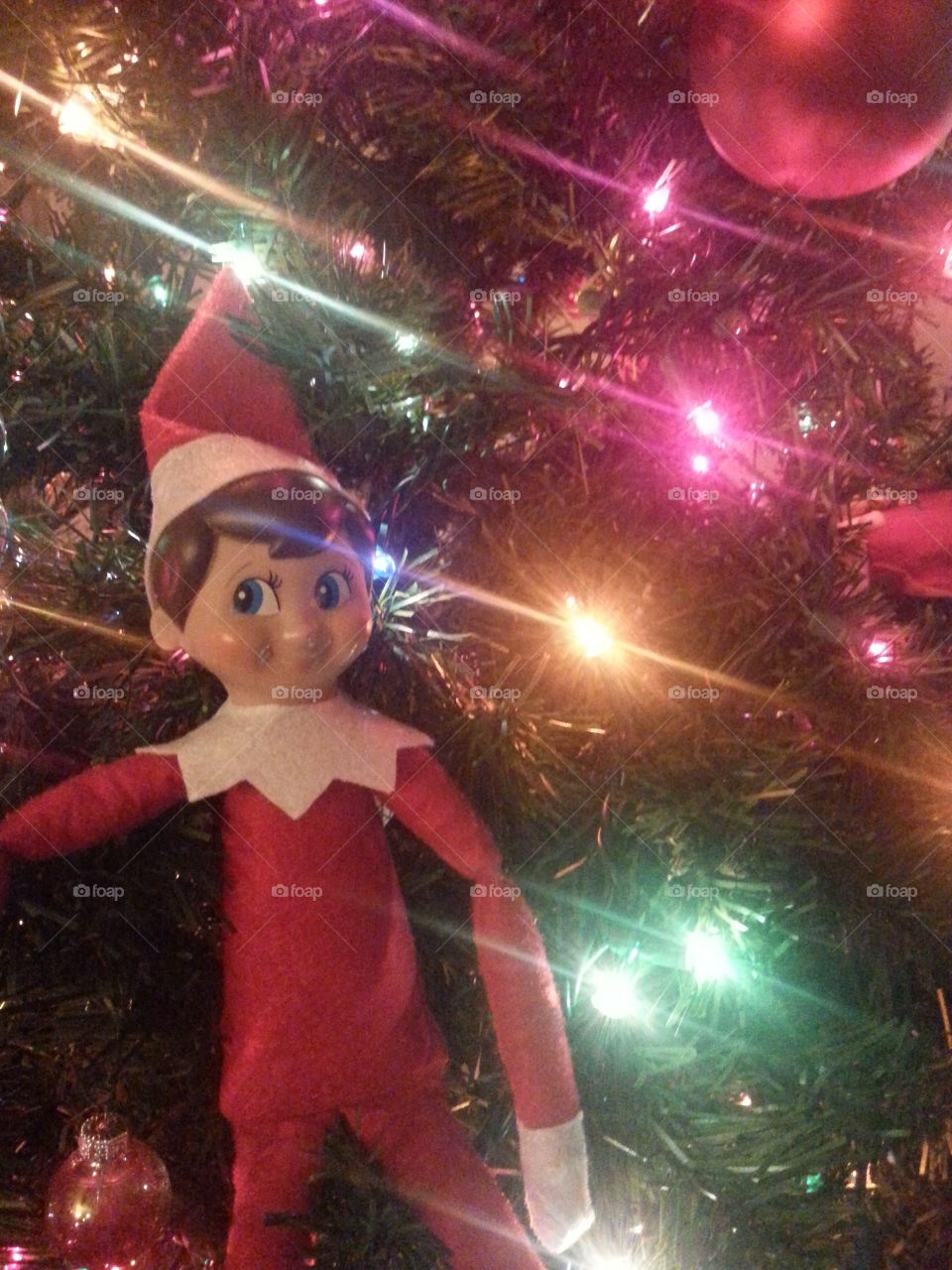 elf in the tree. The elf on the shelf find himself in the tree