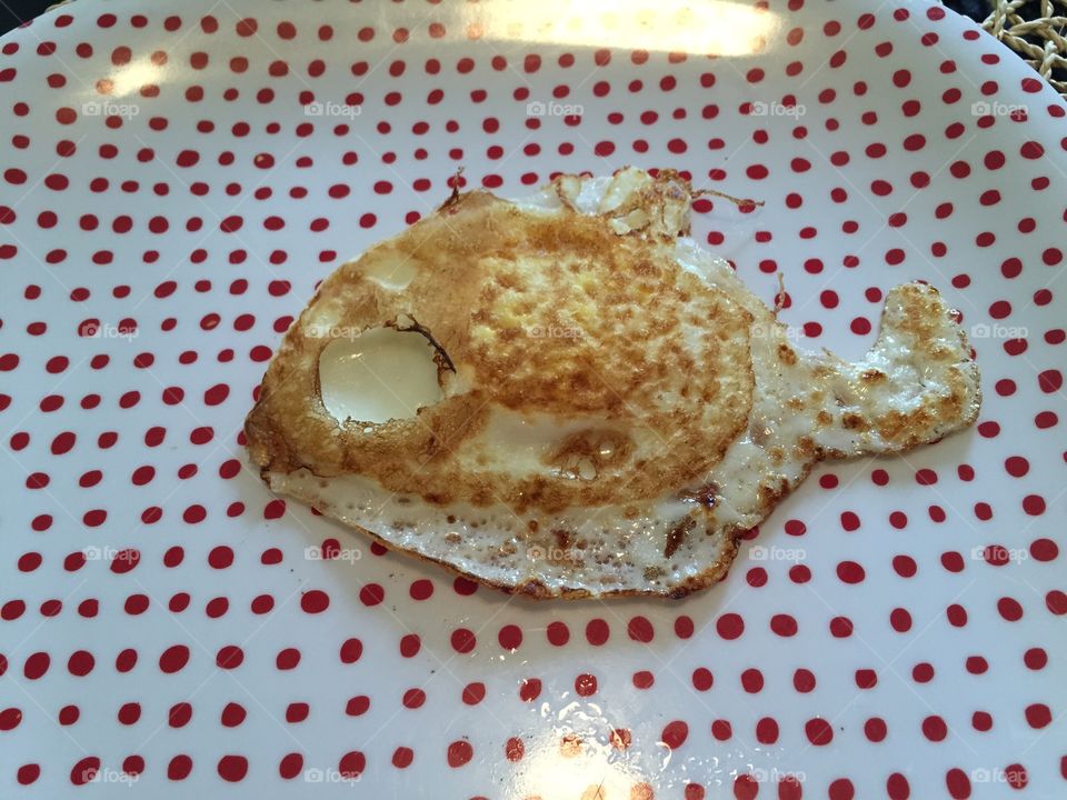 Egg fish. Made breakfast and by accident the egg was shaped like a fish.