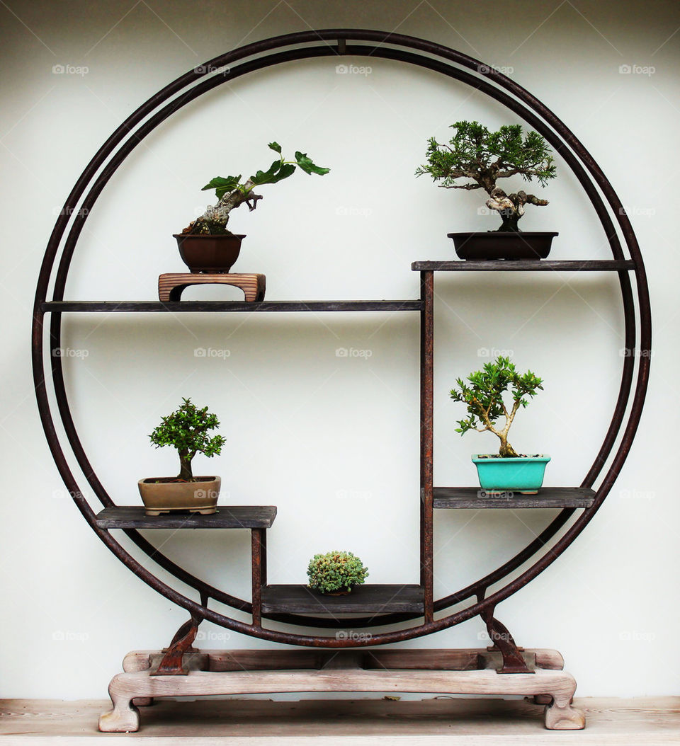 garden circle miniature zen by billgoodwin