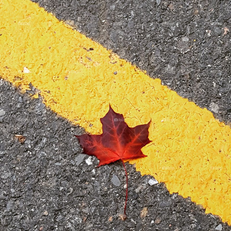 colour stories yellow