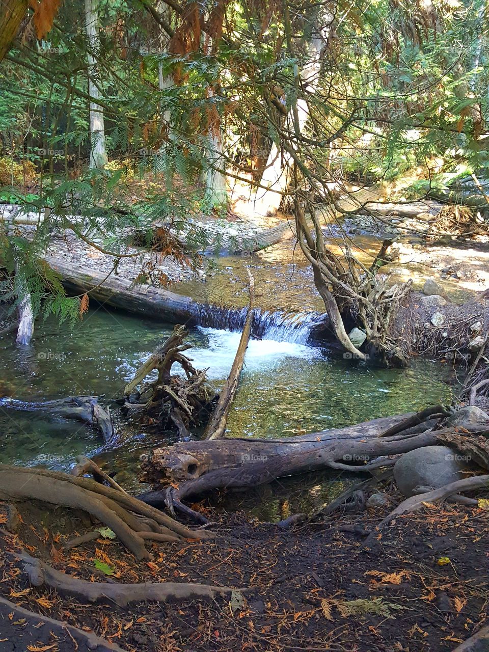 Hidden Paradise 🌳
Heaven On Earth 🌏