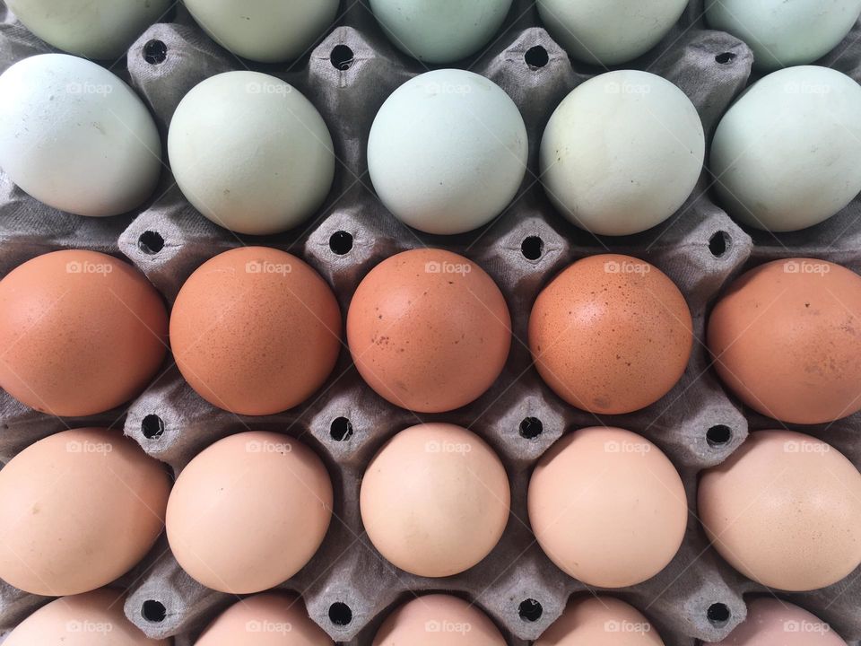 Eggs