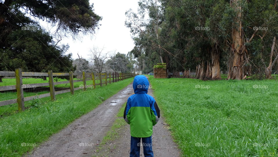 Rear view of child on footpath