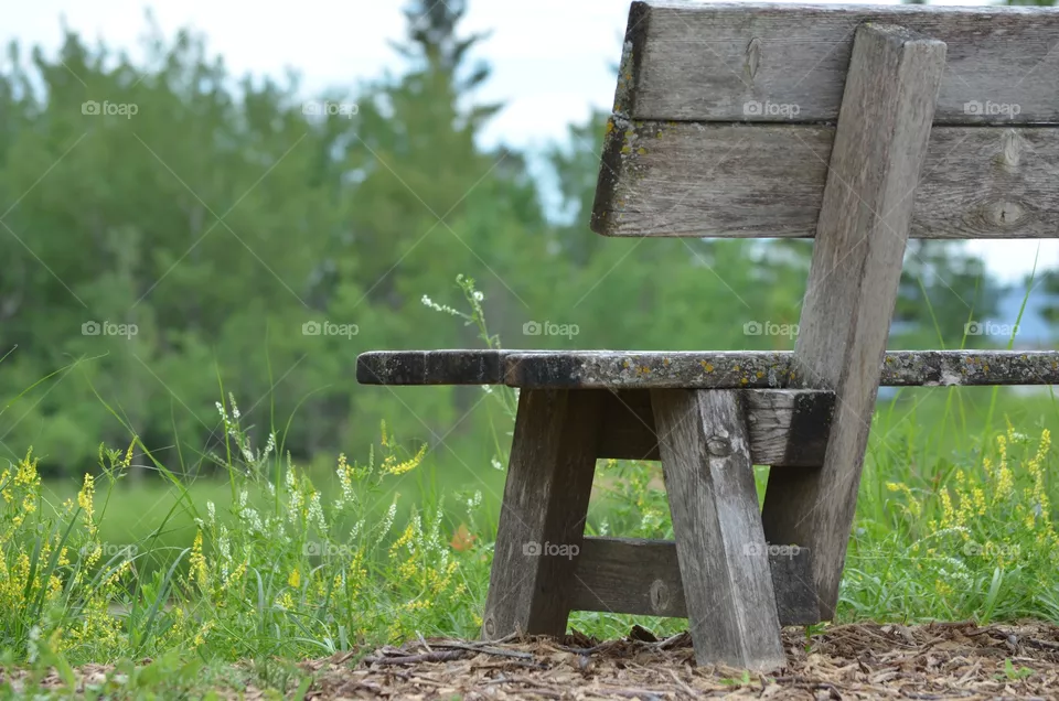 Bench