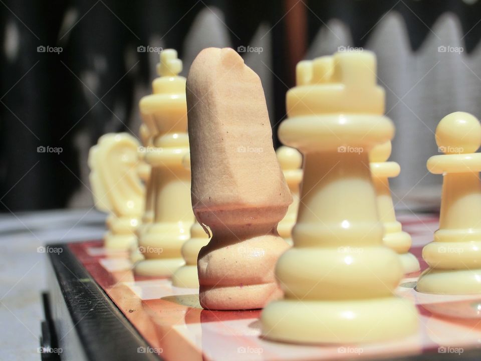 Chess. Broken horse