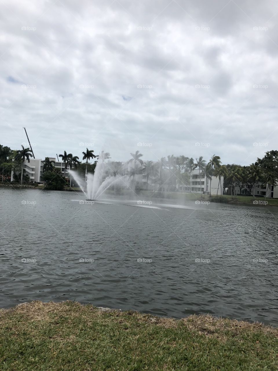 Florida Fountain