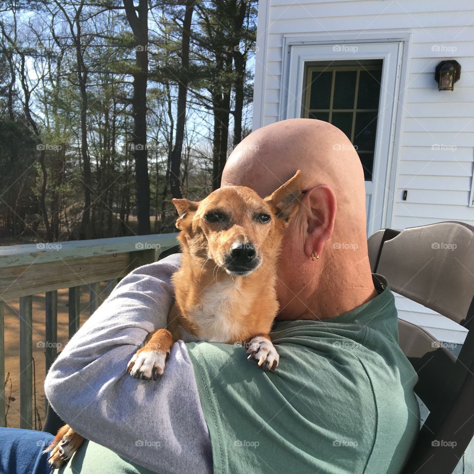 Loved Pet Hugged by Owner, sitting outside
