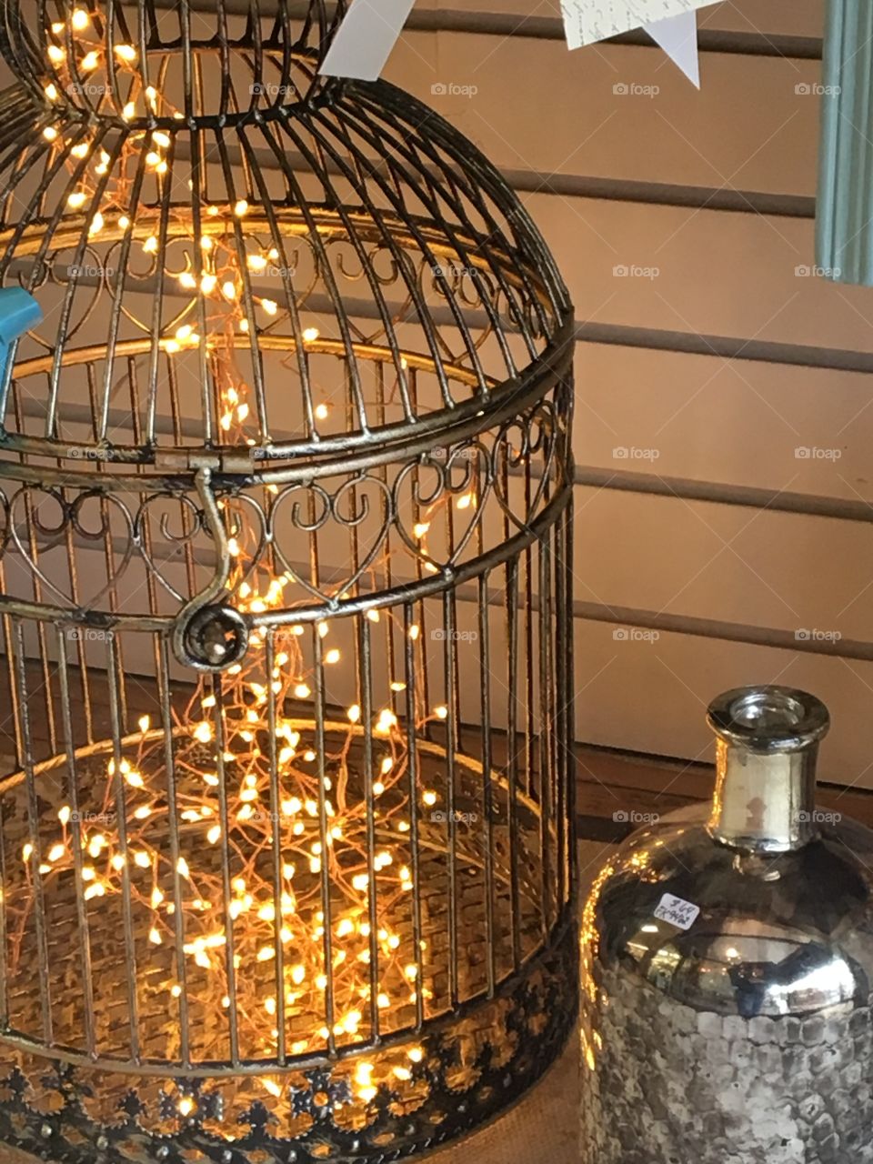 Bird cage & mini lights