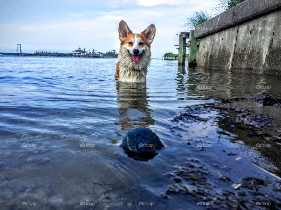 Beach Ball