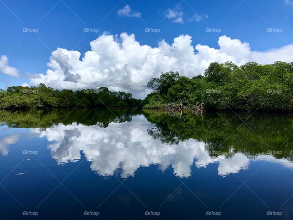 landscape reflected in the river bed