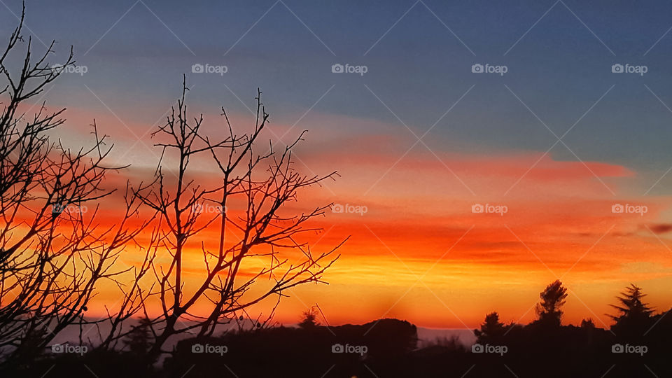 sunset