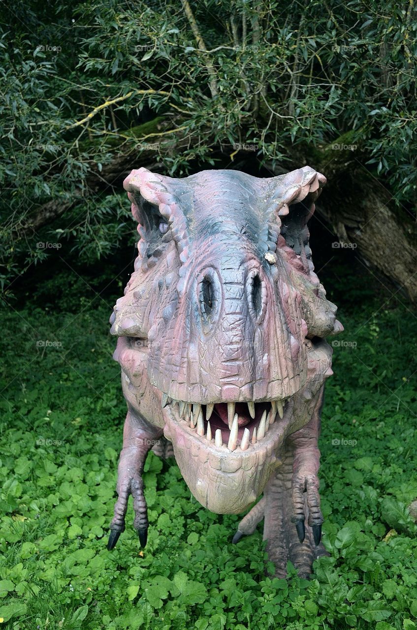 It seems to me that he is not happy with me ...