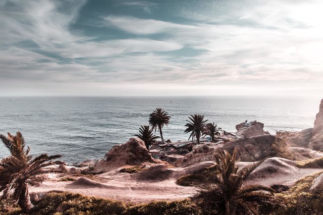 Amazing  ocean