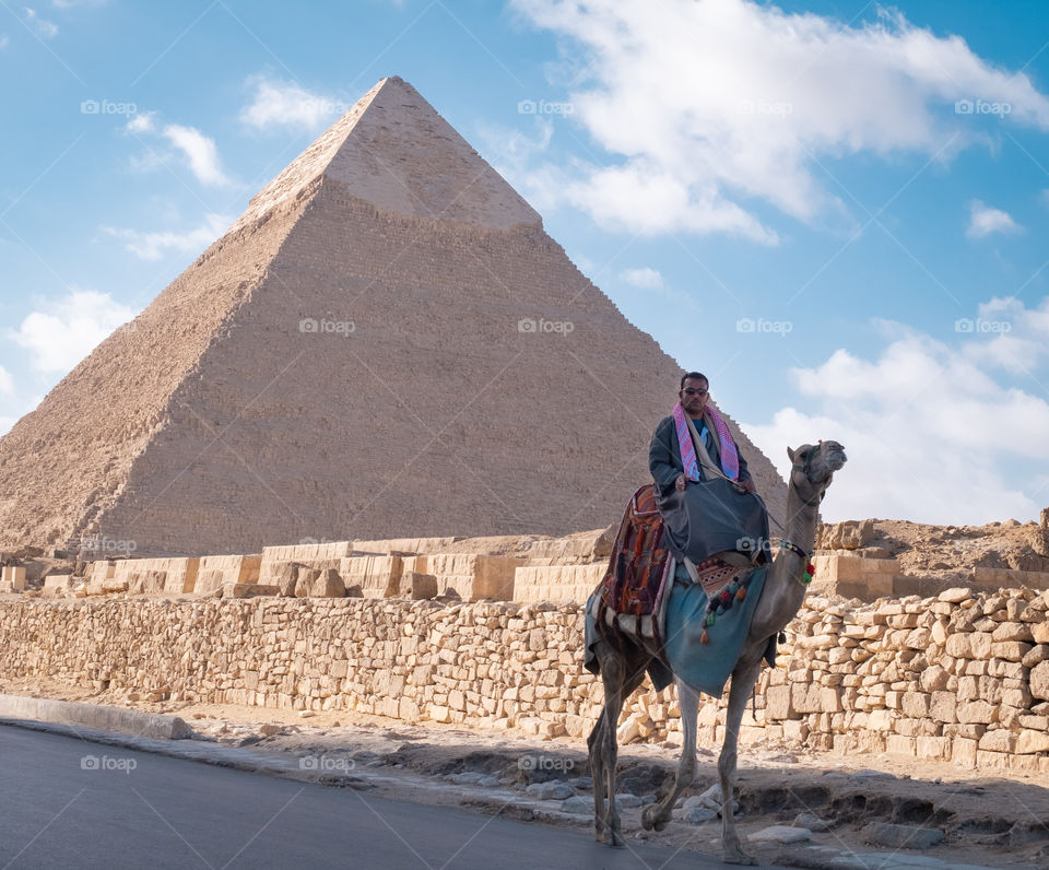 Camel and Pyramid scene