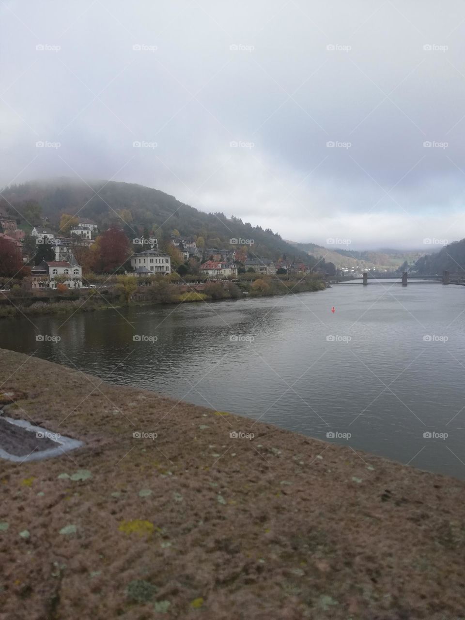 Admiring the view of the river cloze to the castle of Heidelberg, Neckar, in a cloudy day of fall.