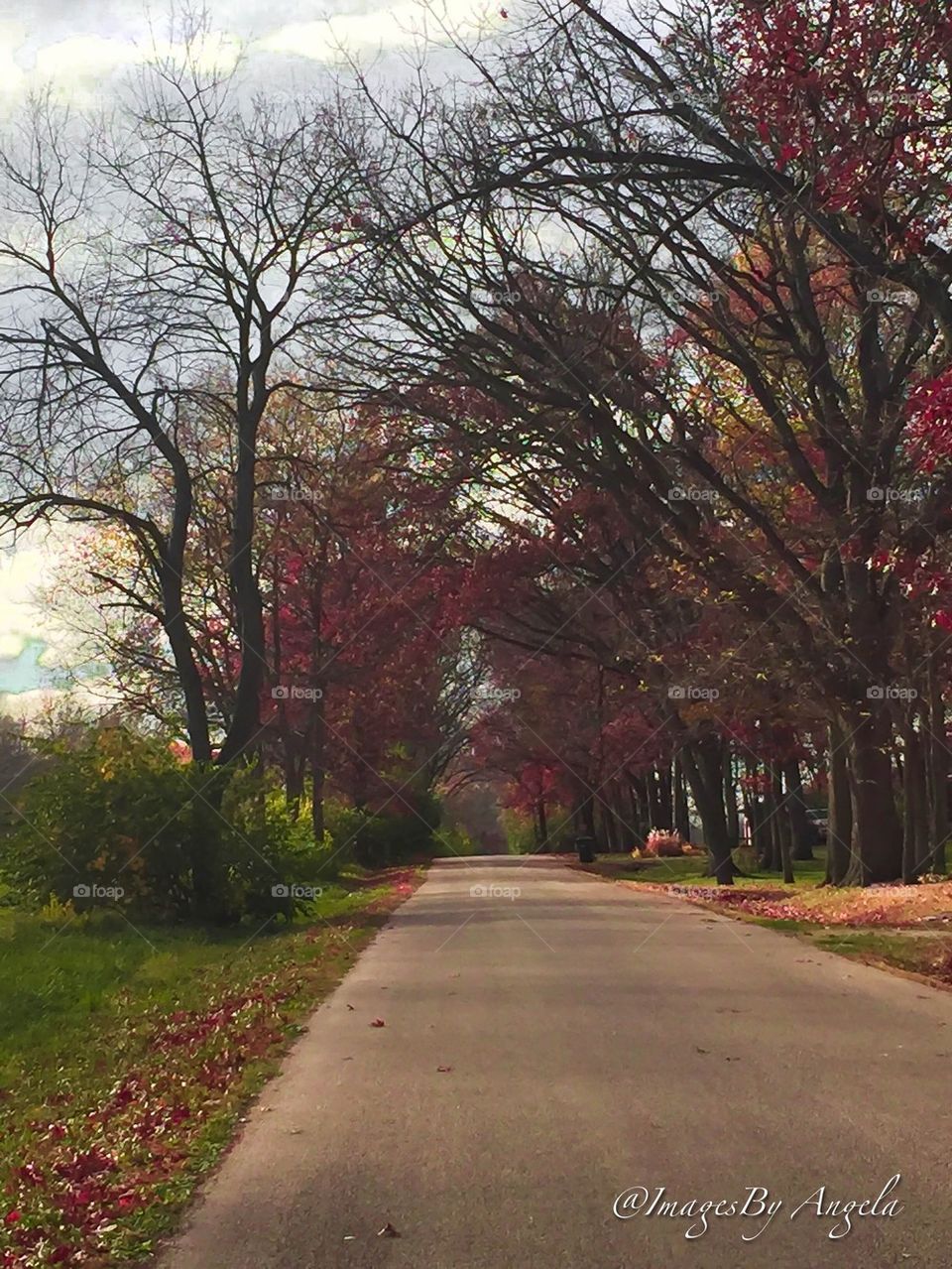 Fall roads 